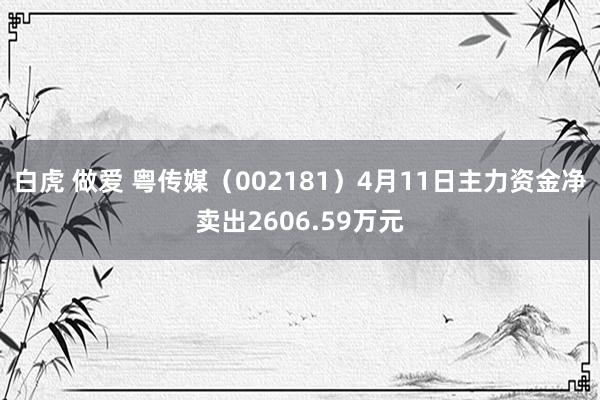 白虎 做爱 粤传媒（002181）4月11日主力资金净卖出2606.59万元