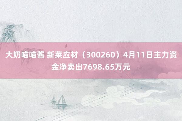 大奶喵喵酱 新莱应材（300260）4月11日主力资金净卖出7698.65万元