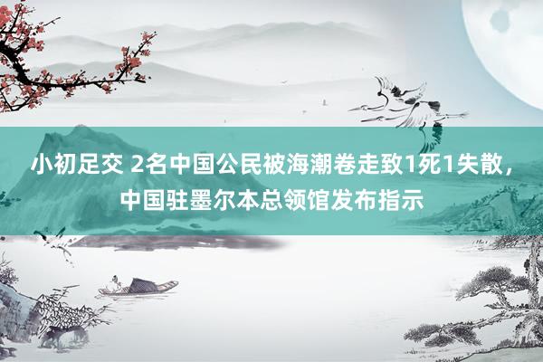小初足交 2名中国公民被海潮卷走致1死1失散，中国驻墨尔本总领馆发布指示