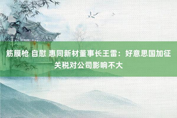 筋膜枪 自慰 惠同新材董事长王雷：好意思国加征关税对公司影响不大