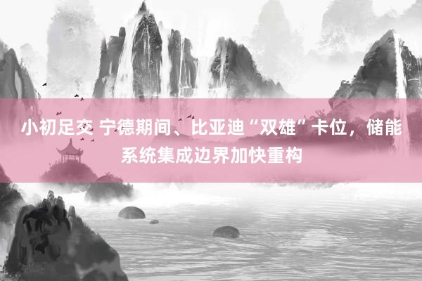 小初足交 宁德期间、比亚迪“双雄”卡位，储能系统集成边界加快重构