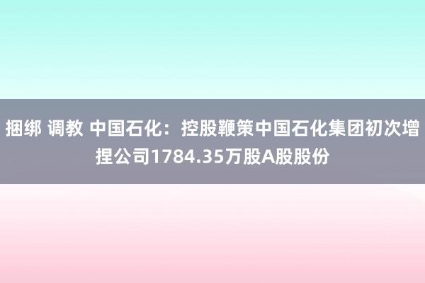 捆绑 调教 中国石化：控股鞭策中国石化集团初次增捏公司1784.35万股A股股份