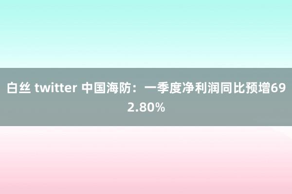 白丝 twitter 中国海防：一季度净利润同比预增692.80%