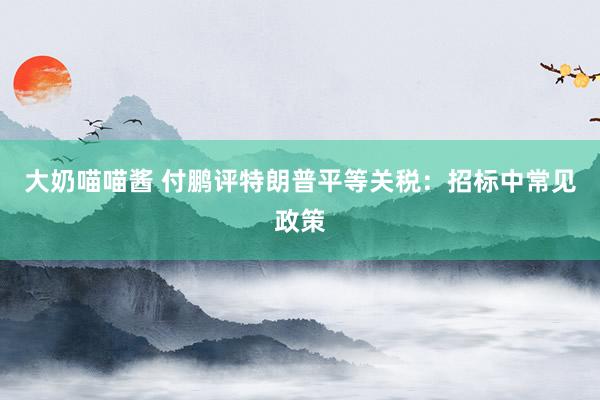 大奶喵喵酱 付鹏评特朗普平等关税：招标中常见政策