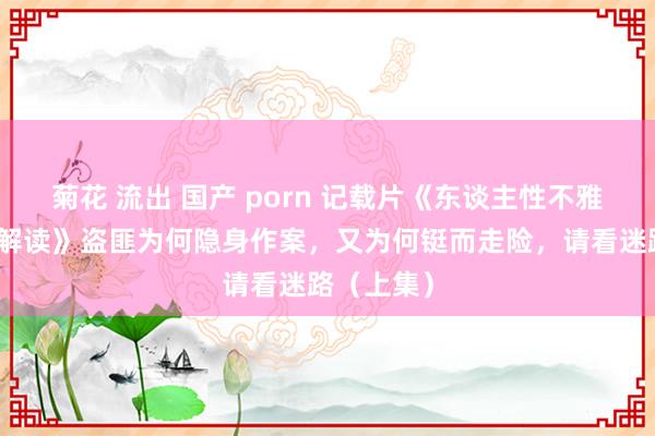 菊花 流出 国产 porn 记载片《东谈主性不雅察，社会解读》盗匪为何隐身作案，又为何铤而走险，<a href=
