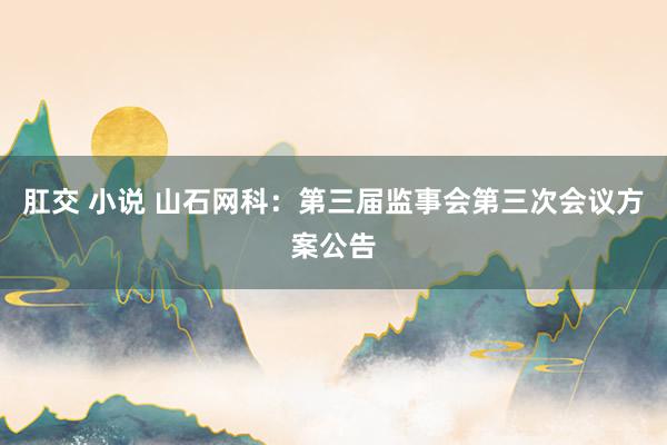 肛交 小说 山石网科：第三届监事会第三次会议方案公告
