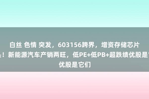 白丝 色情 突发，603156跨界，增资存储芯片巨头！新能源汽车产销两旺，低PE+低PB+超跌绩优股是它们