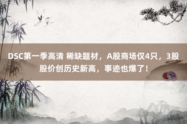 DSC第一季高清 稀缺题材，A股商场仅4只，3股股价创历史新高，事迹也爆了！