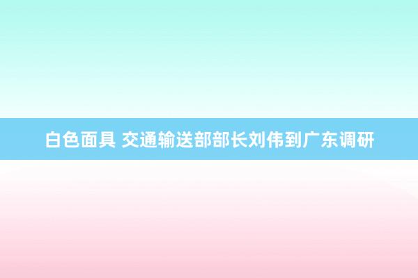 白色面具 交通输送部部长刘伟到广东调研