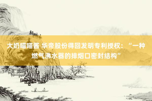 大奶喵喵酱 华帝股份得回发明专利授权：“一种燃气沸水器的排烟口密封结构”